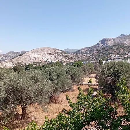 Naxos Filoti Village House With Yard Naxos City