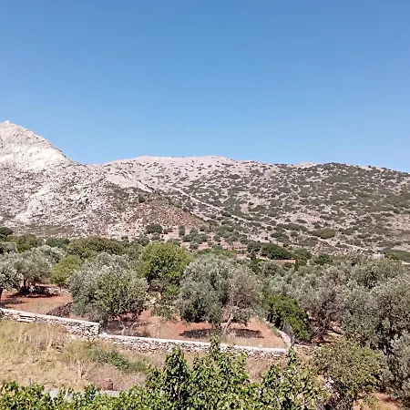 Naxos Filoti Village House With Yard Lejlighed Naxos City